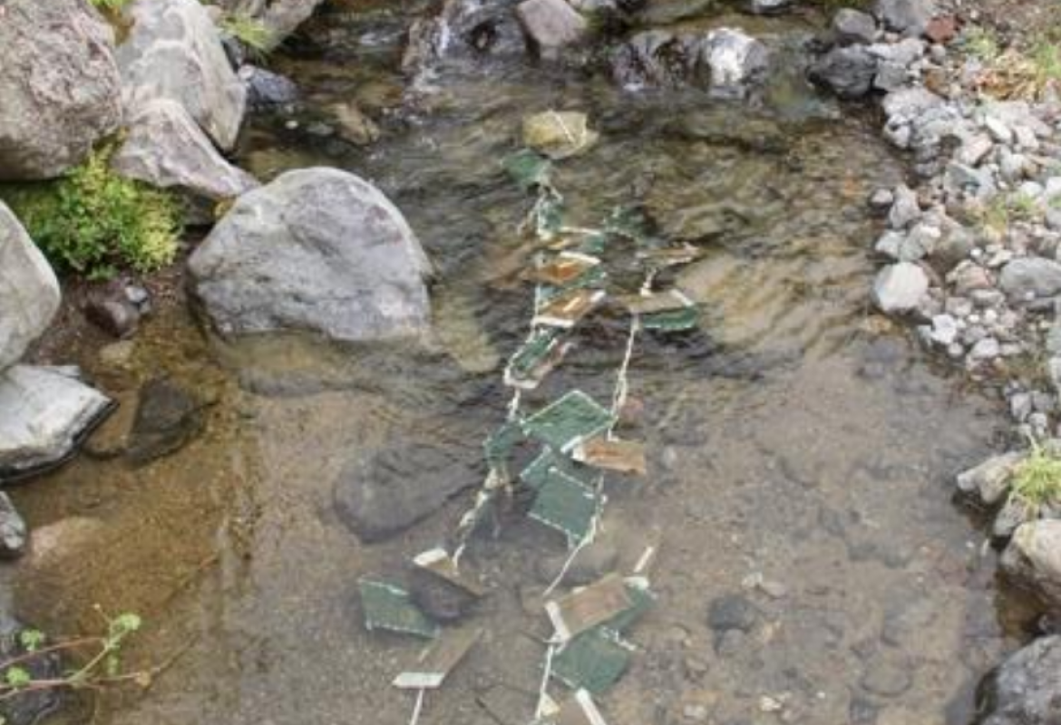 FRESCO - Freshwater Ecology