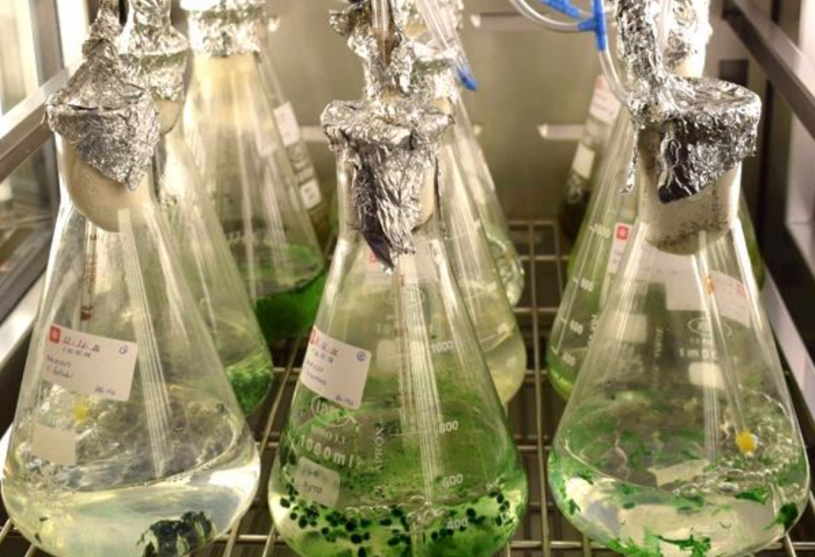 FRESCO - Freshwater Ecology