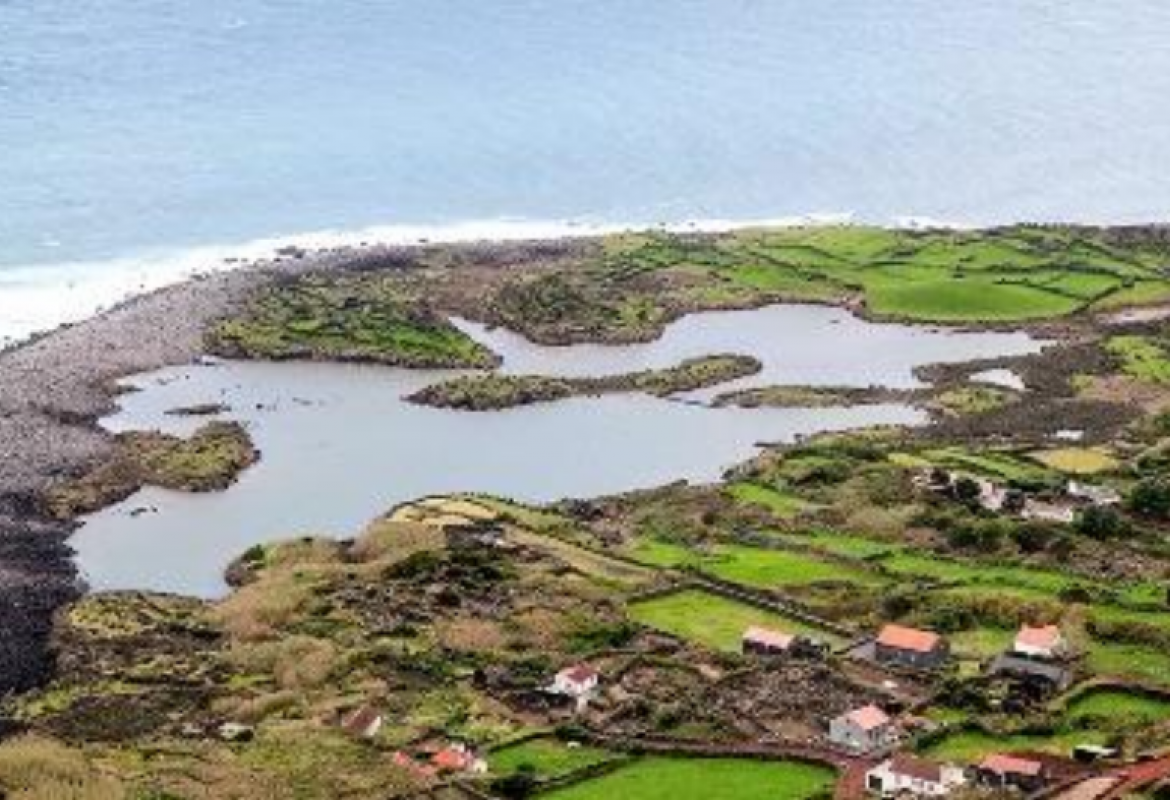 MARBE - Marine Biodiversity and Environment