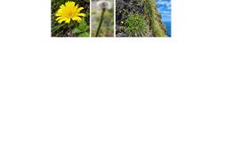 MODELANDIS - Modelling and Land Management on Island Systems