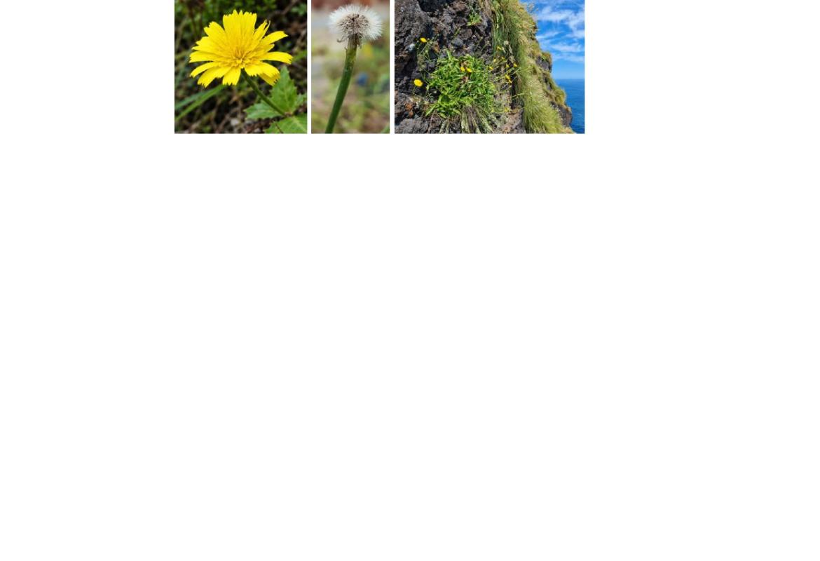 MODELANDIS - Modelling and Land Management on Island Systems