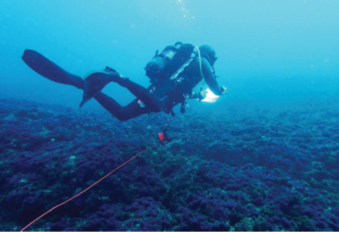 Figure 1: Diver carrying out visual surveys from a transect @MoniCO 