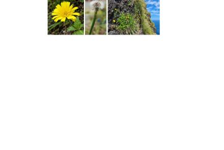 MODELANDIS - Modelling and Land Management on Island Systems